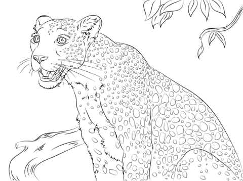 Cute Leopard Coloring Page